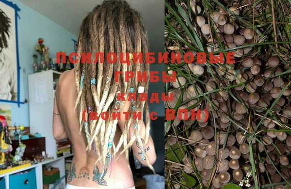 не бодяженный Богородицк