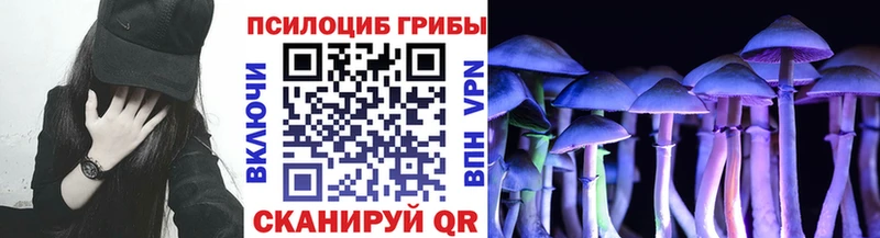 Галлюциногенные грибы Psilocybine cubensis  дарнет шоп  Коряжма 